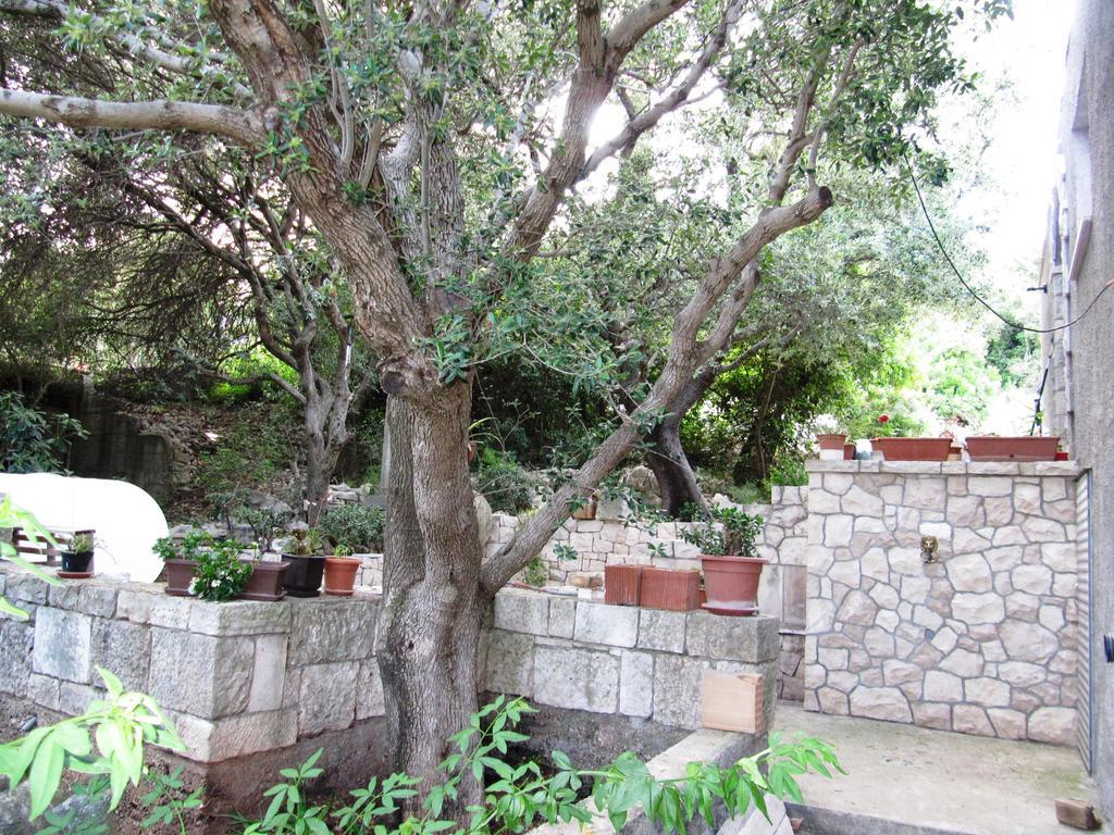 Apartmans And Rooms Dunjini Dvori Korcula Town Exterior foto